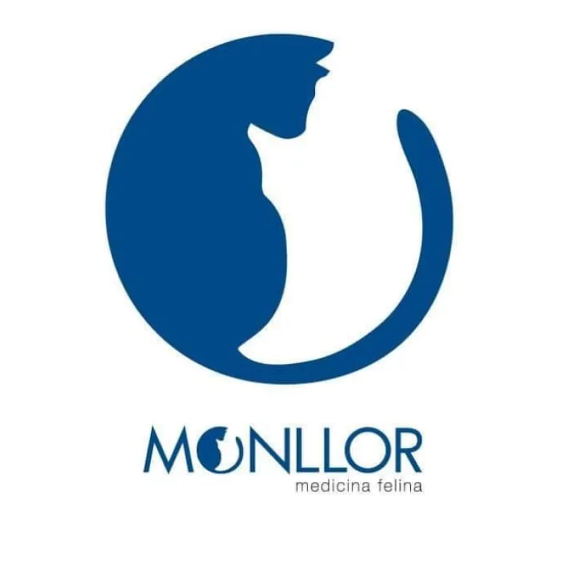 Monllor-Medicina-felina